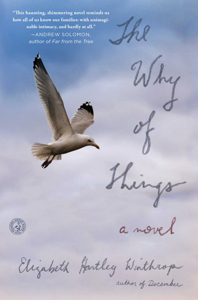 The Why of Things: A Novel book cover by Elizabeth H. Winthrop