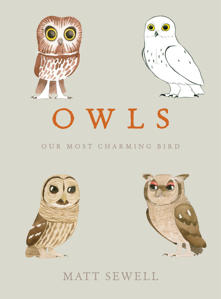 Owls: Our Most Charming Bird book cover by Matt Sewell