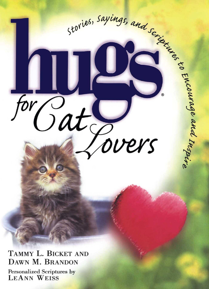 Hugs for Cat Lovers (Hugs Series) book cover by Tammy L. Bicket, Dawn M. Brandon