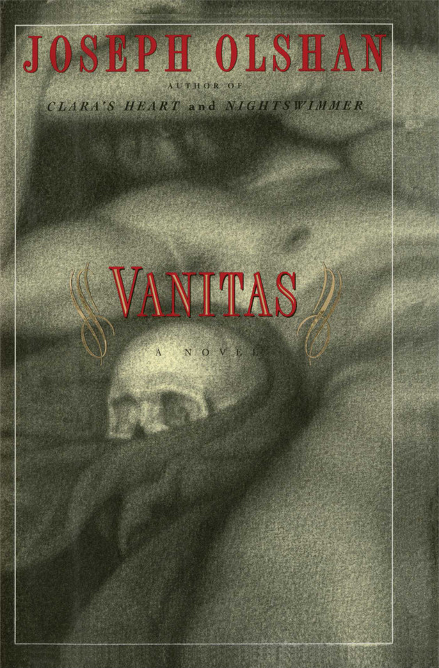 Vanitas book cover by Joseph Olshan