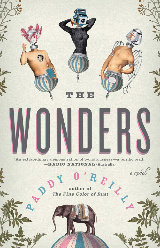 The Wonders: A Novel book cover by Paddy O'Reilly