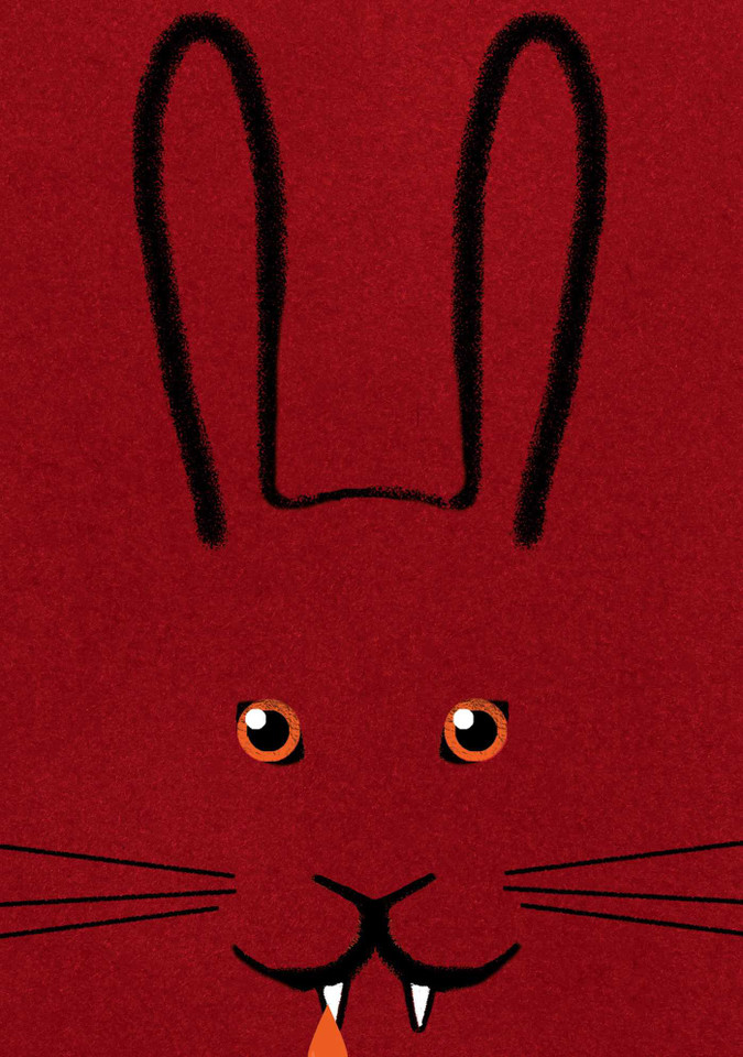 Bunnicula: 40th Anniversary Edition (Bunnicula and Friends) book cover by James Howe, Deborah Howe