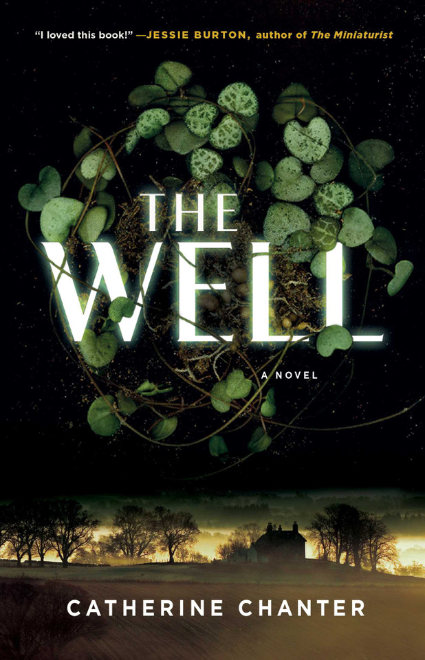 The Well: A Novel book cover by Catherine Chanter