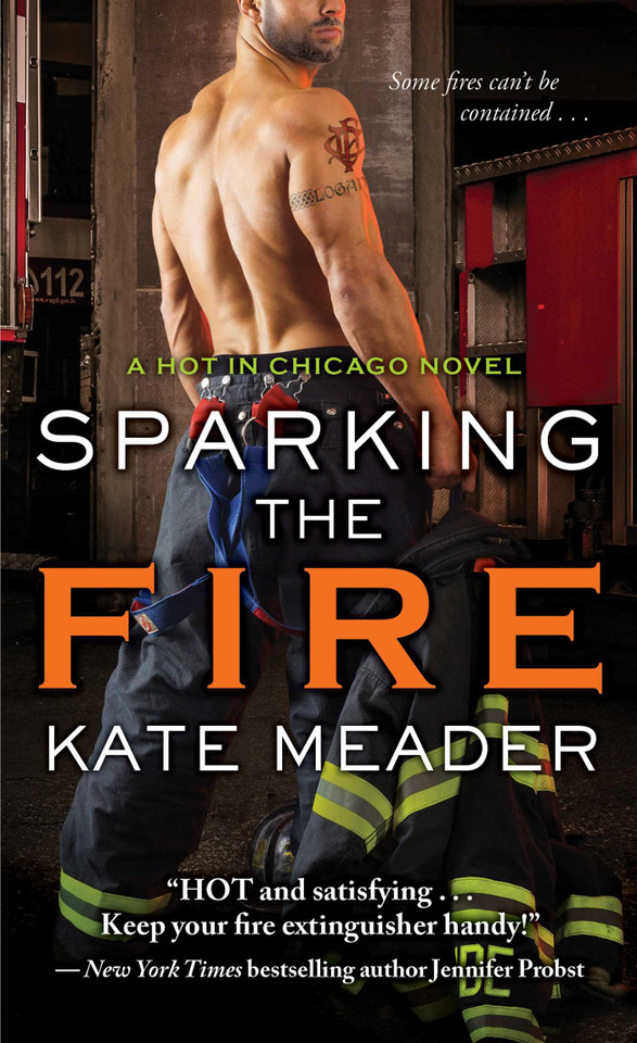 Sparking the Fire (Hot in Chicago) book cover by Kate Meader