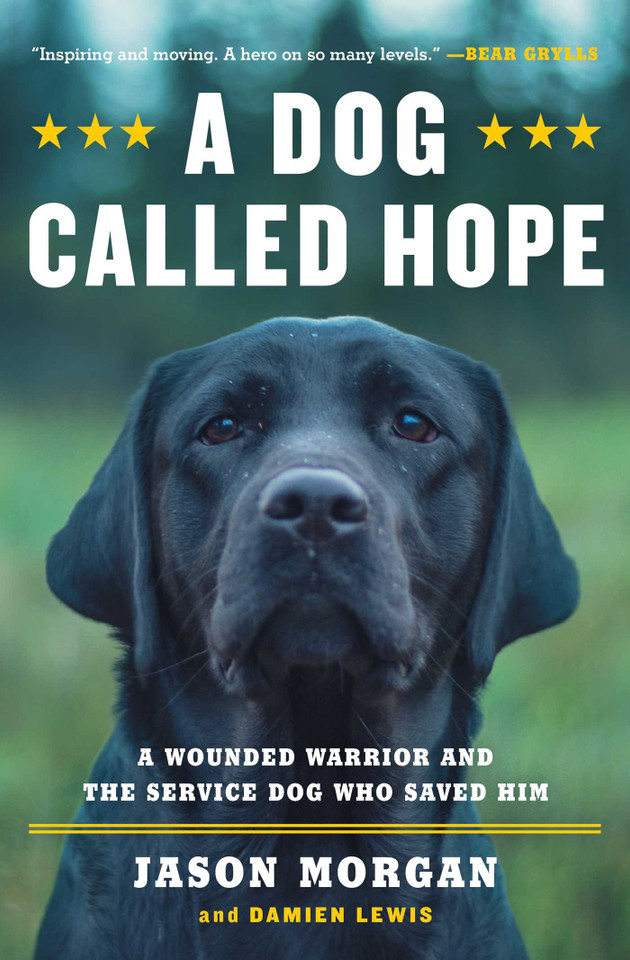 A Dog Called Hope: A Wounded Warrior and the Service Dog Who Saved Him book cover by Jason Morgan, Damien Lewis