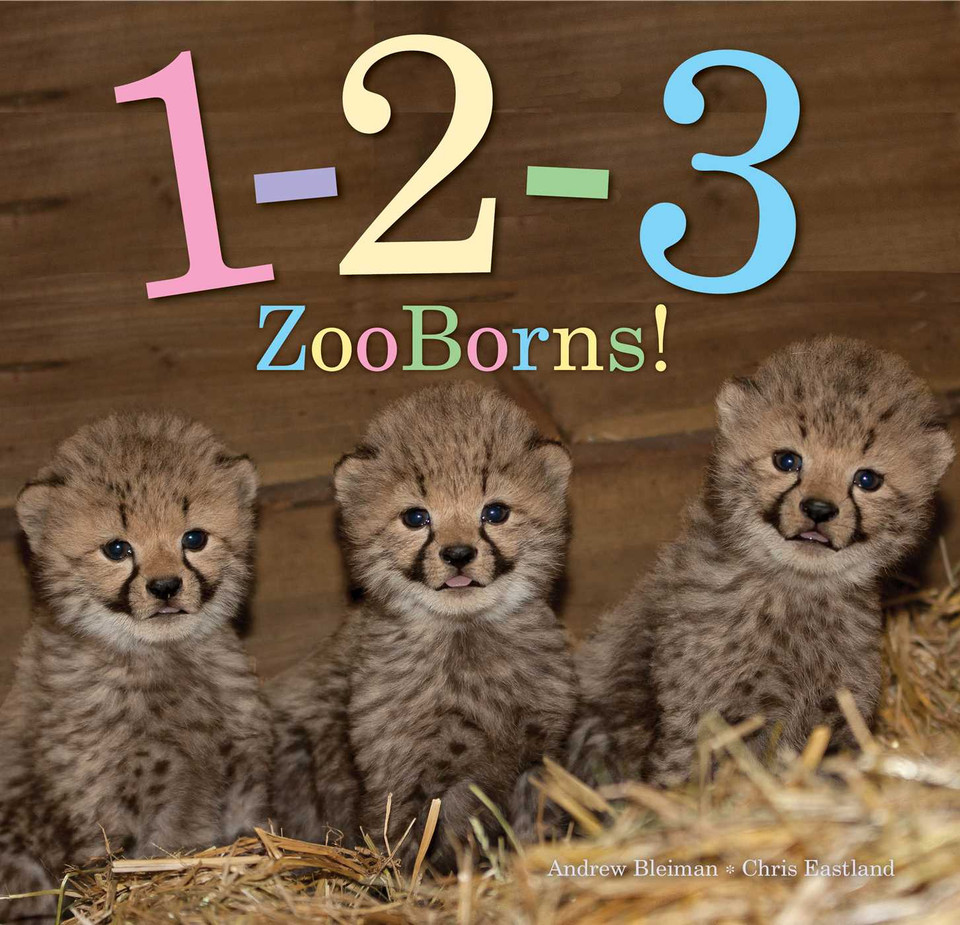1-2-3 ZooBorns! (ZooBorns) book cover by Andrew Bleiman, Chris Eastland