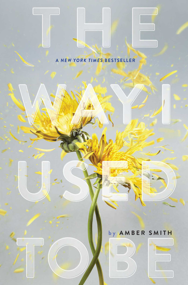 The Way I Used to Be (The Way I Used to Be) book cover by Amber Smith