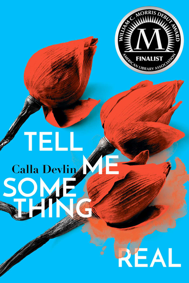 Tell Me Something Real book cover by Calla Devlin