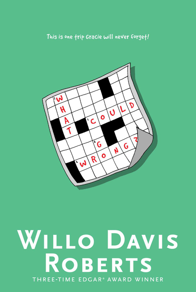 What Could Go Wrong? book cover by Willo Davis Roberts