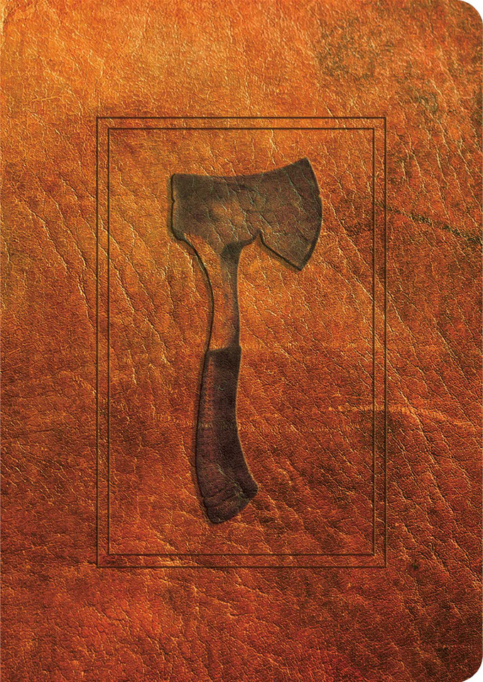 Hatchet: 30th Anniversary Edition book cover by Gary Paulsen