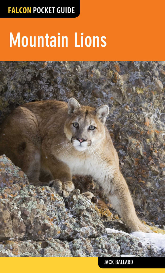 Mountain Lions (Falcon Pocket Guides) book cover by Jack Ballard