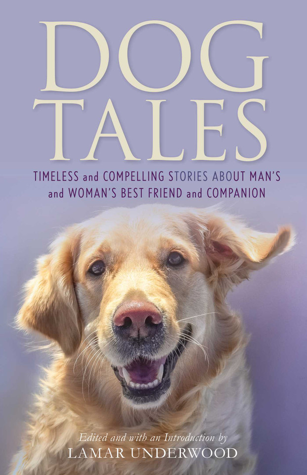 Dog Tales: Timeless and Compelling Stories about Man's and Woman's Best Friend and Companion book cover by 