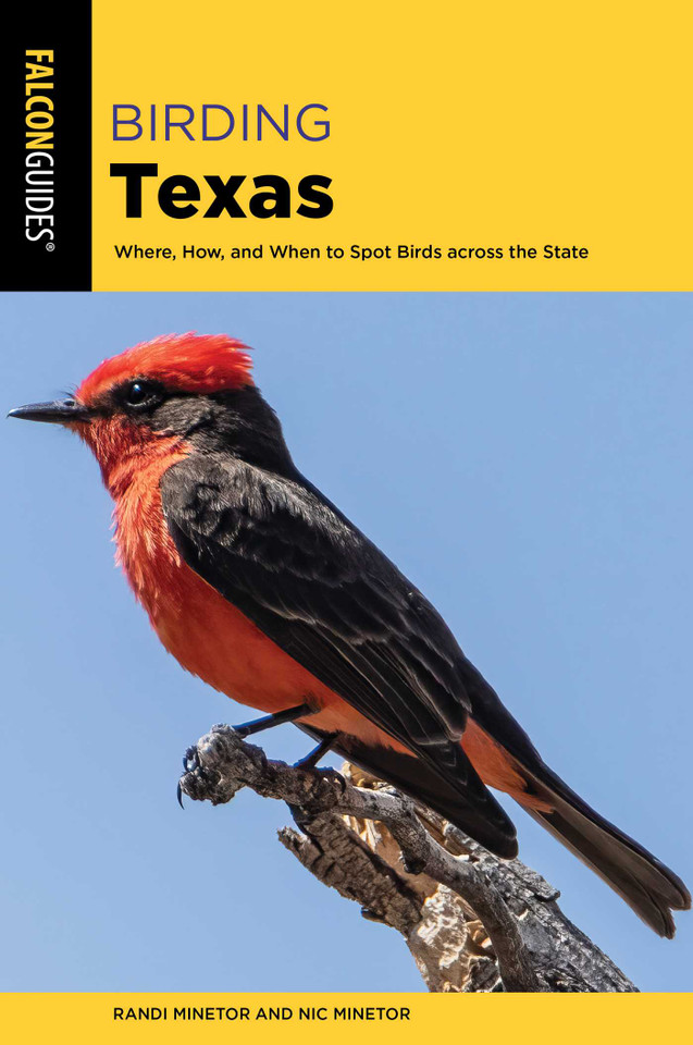 Birding Texas (Birding Series) book cover by Randi Minetor, Nic Minetor