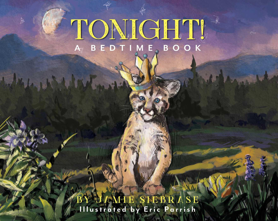Tonight!: A Bedtime Book book cover by Jamie Siebrase