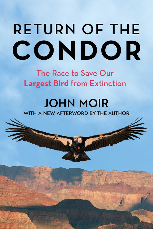 Return of the Condor: The Race to Save Our Largest Bird from Extinction book cover by John Moir
