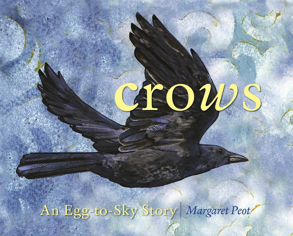 Crows: An Egg-to-Sky Story book cover by Margaret Peot