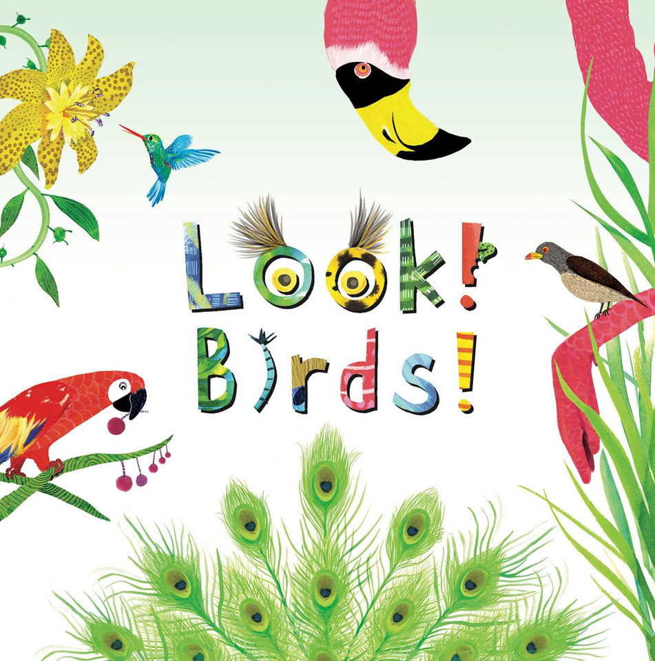 Look! Birds! (Look!) book cover by Stephanie Calmenson