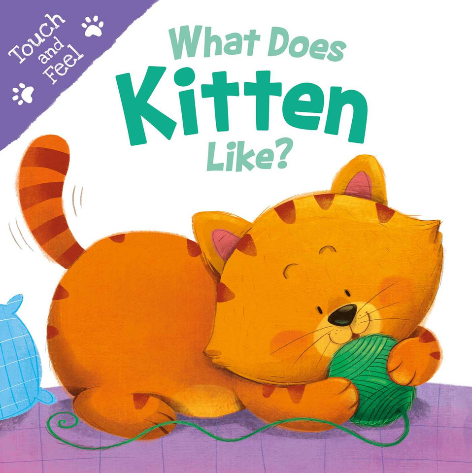 What Does Kitten Like?: Touch & Feel Board Book book cover by IglooBooks