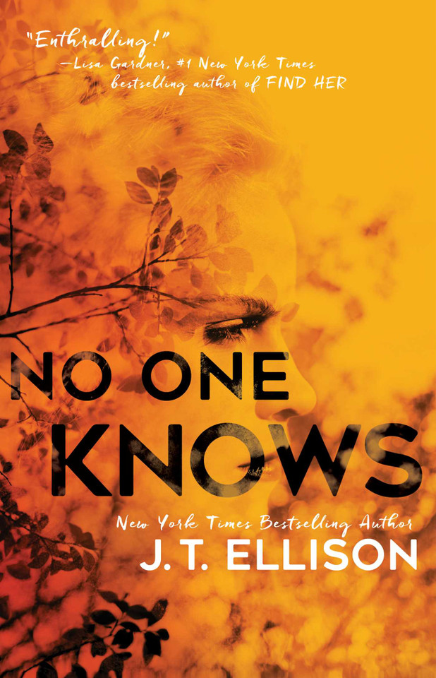 No One Knows book cover by J.T. Ellison