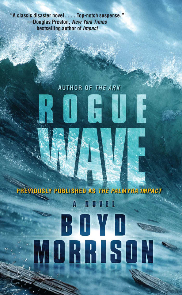 Rogue Wave book cover by Boyd Morrison