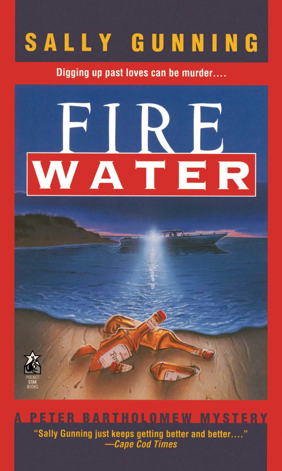 Fire Water book cover by Sally Gunning