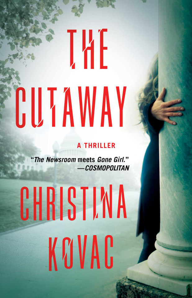 The Cutaway: A Thriller book cover by Christina Kovac