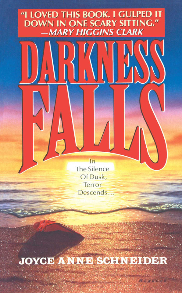 DARKNESS FALLS book cover by Joyce Anne Schneider
