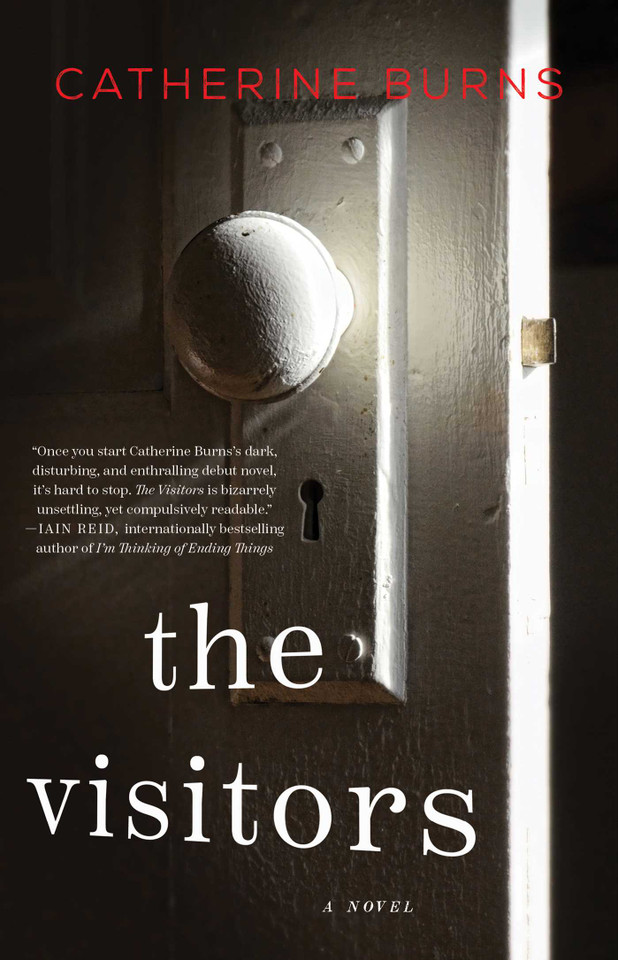 The Visitors book cover by Catherine Burns