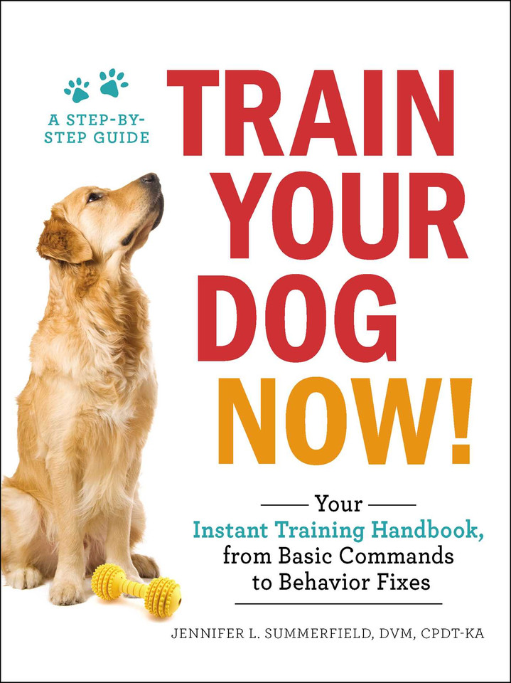 Train Your Dog Now!: Your Instant Training Handbook, from Basic Commands to Behavior Fixes book cover by Jennifer L. Summerfield