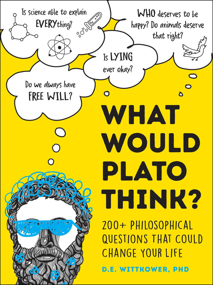 What Would Plato Think?: 200+ Philosophical Questions That Could Change Your Life book cover by D.E. Wittkower