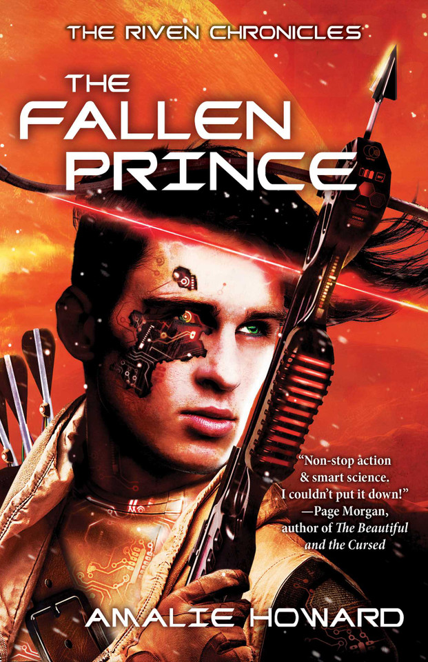 The Fallen Prince (The Riven Chronicles) book cover by Amalie Howard