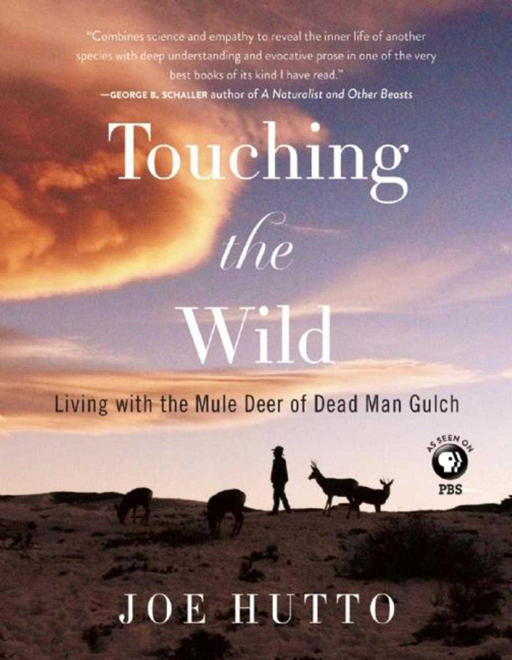 Touching the Wild: Living with the Mule Deer of Deadman Gulch book cover by Joe Hutto