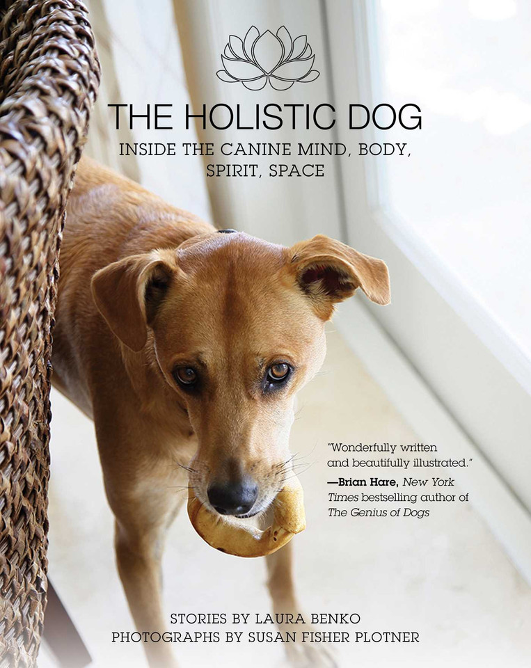 The Holistic Dog: Inside the Canine Mind, Body, Spirit, Space book cover by Laura Benko