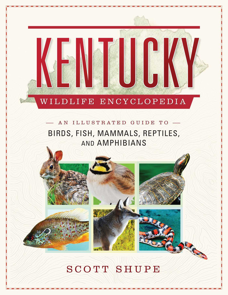 Kentucky Wildlife Encyclopedia: An Illustrated Guide to Birds, Fish, Mammals, Reptiles, and Amphibians (Wildlife Encyclopedias) book cover by Scott Shupe