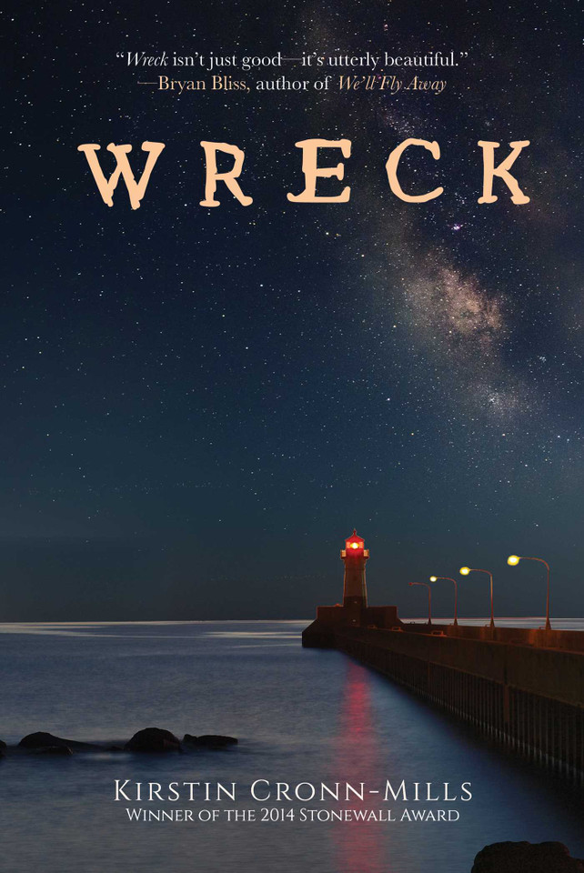 Wreck: A Novel book cover by Kirstin Cronn-Mills