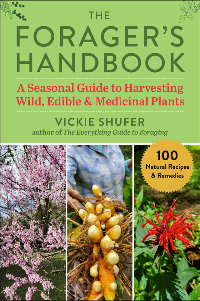 The Forager's Handbook: A Seasonal Guide to Harvesting Wild, Edible & Medicinal Plants book cover by Vickie Shufer