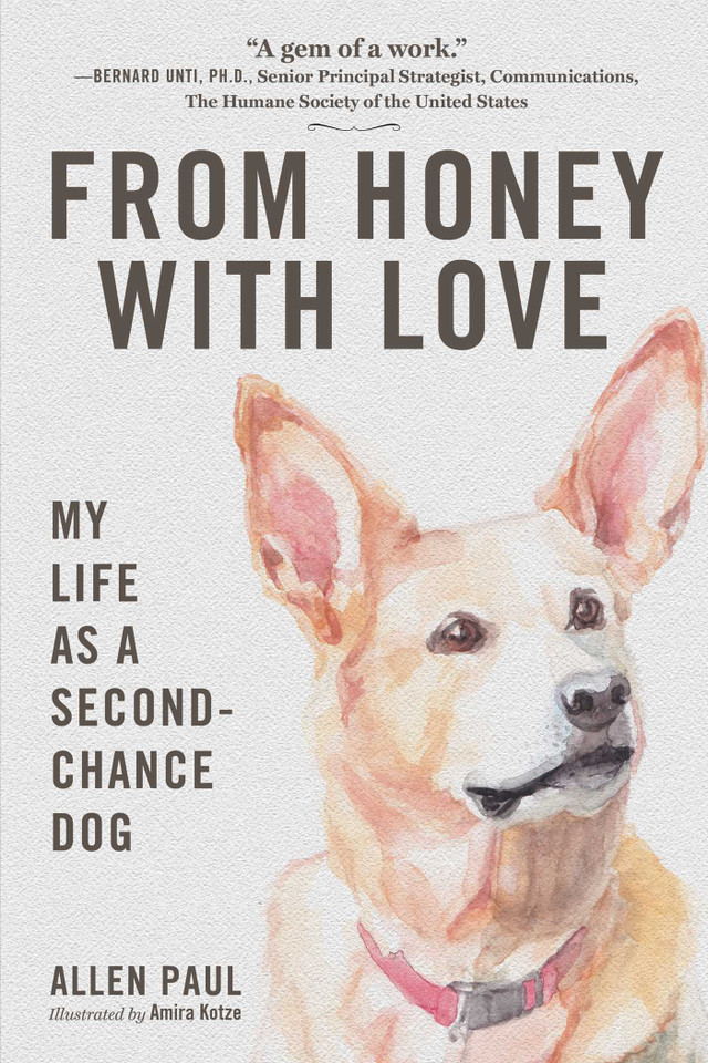 From Honey With Love: My Life as a Second-Chance Dog book cover by Allen Paul