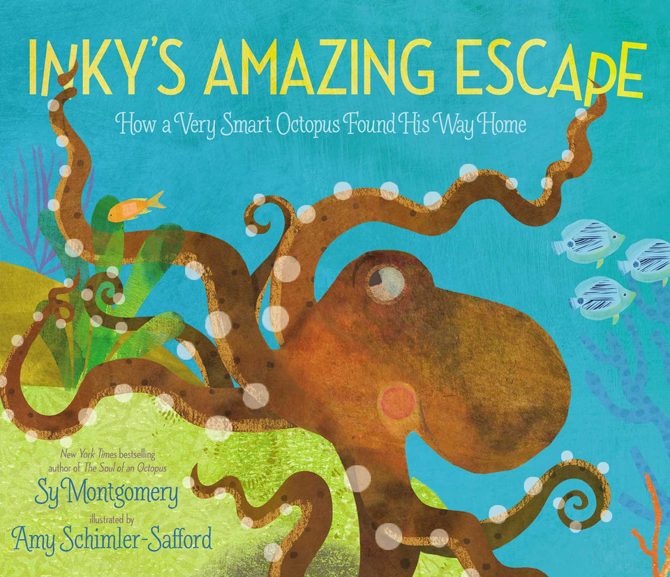 Inky's Amazing Escape: How a Very Smart Octopus Found His Way Home book cover by Sy Montgomery
