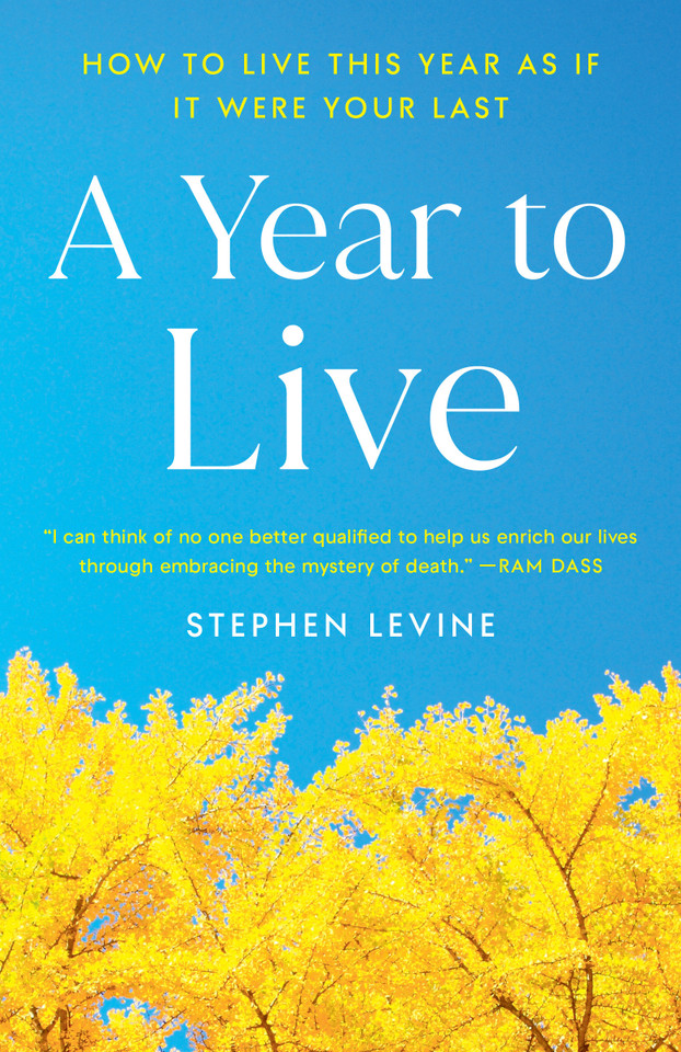A Year to Live: How to Live This Year as If It Were Your Last book cover by Stephen Levine
