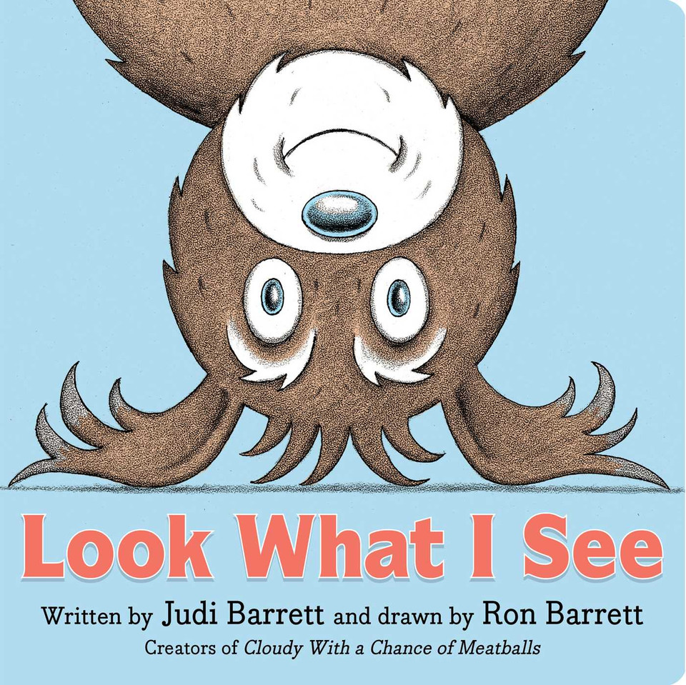 Look What I See book cover by Judi Barrett