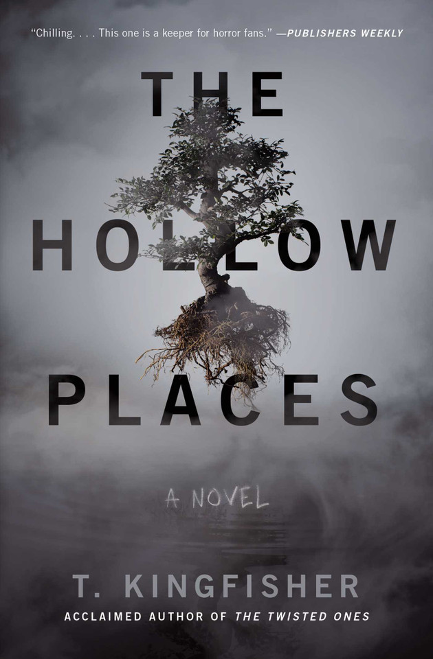 The Hollow Places: A Novel book cover by T. Kingfisher