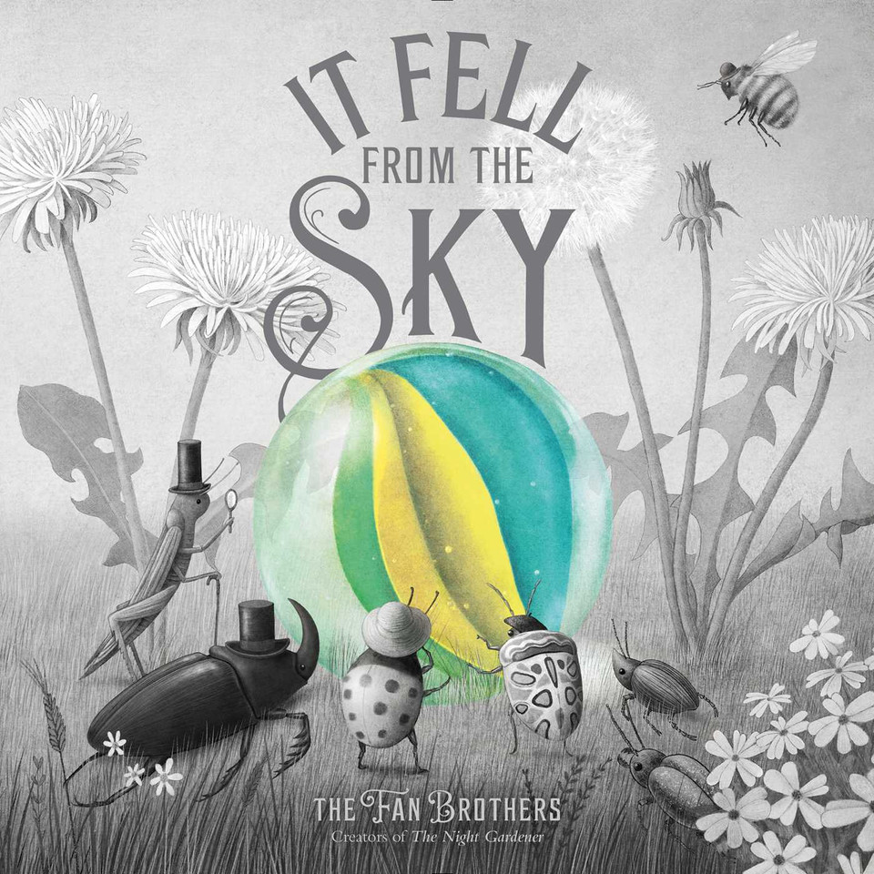 It Fell from the Sky book cover by Terry Fan, Eric Fan