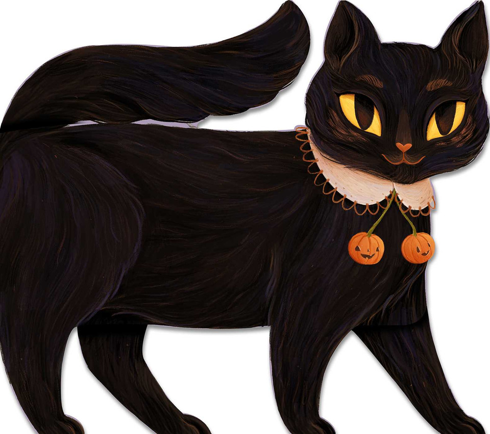 One Black Cat book cover by Robie Rogge