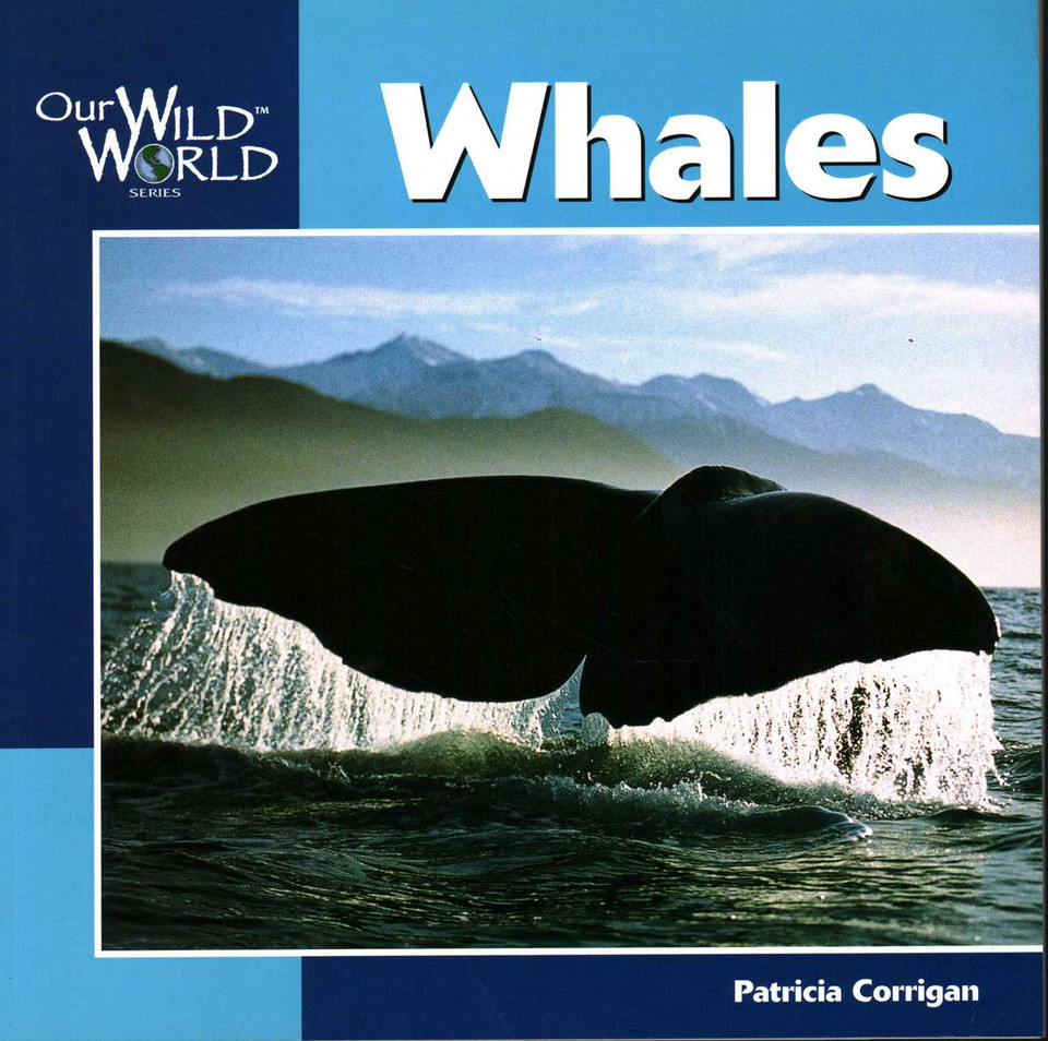 Whales (Our Wild World) book cover by Patricia Corrigan