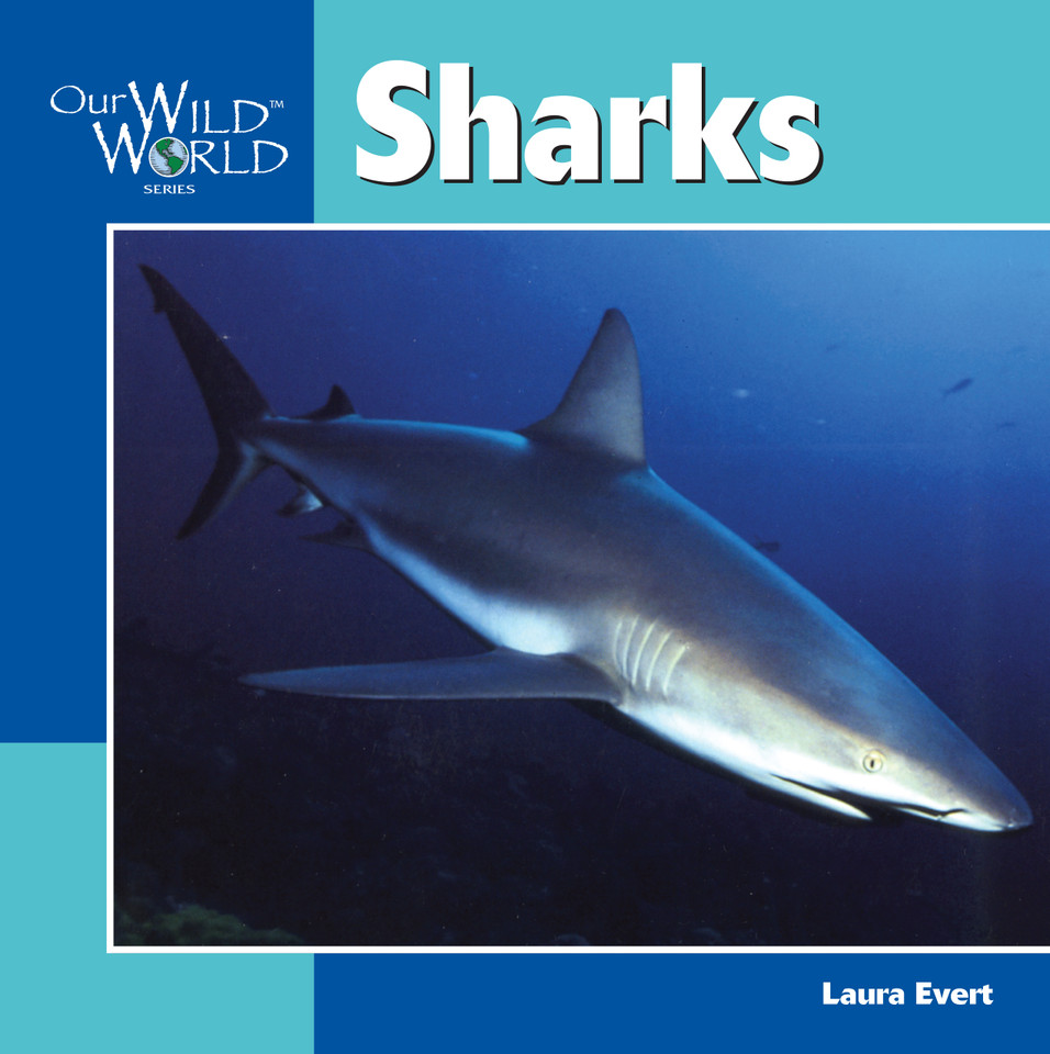 Sharks (Our Wild World) book cover by Laura Evert