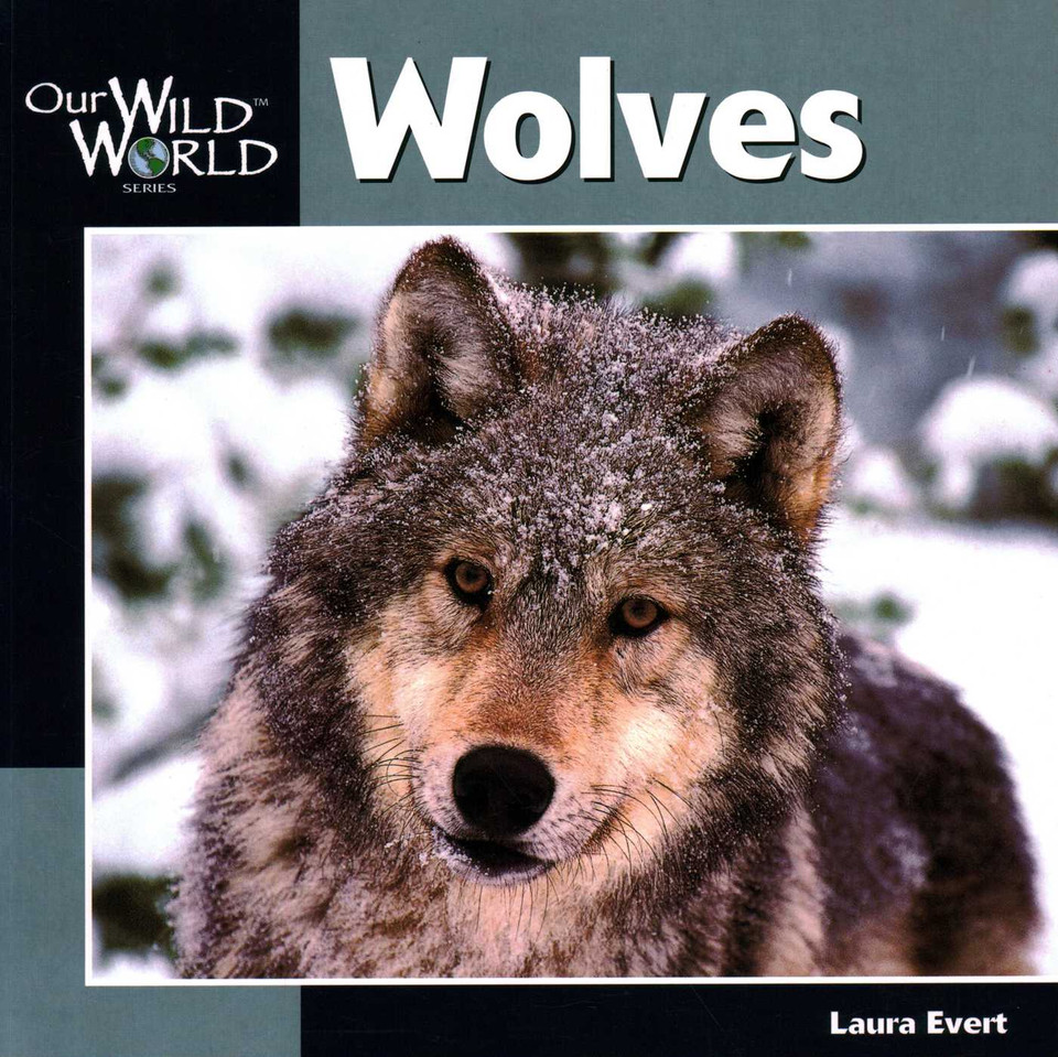 Wolves (Our Wild World) book cover by Laura Evert