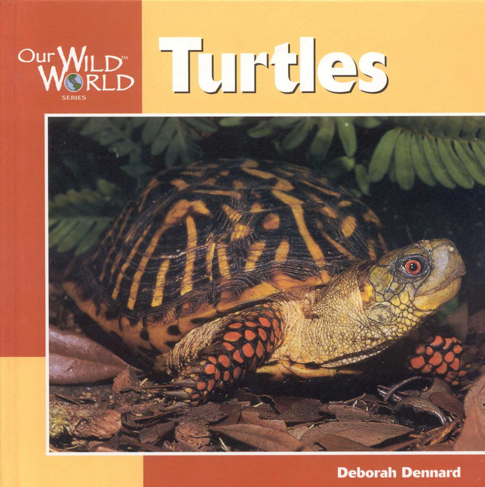 Turtles (Our Wild World) book cover by Deborah Dennard