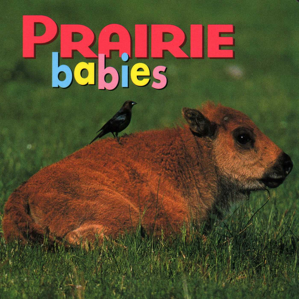 Prairie Babies (Animal Babies) book cover by Kristen McCurry