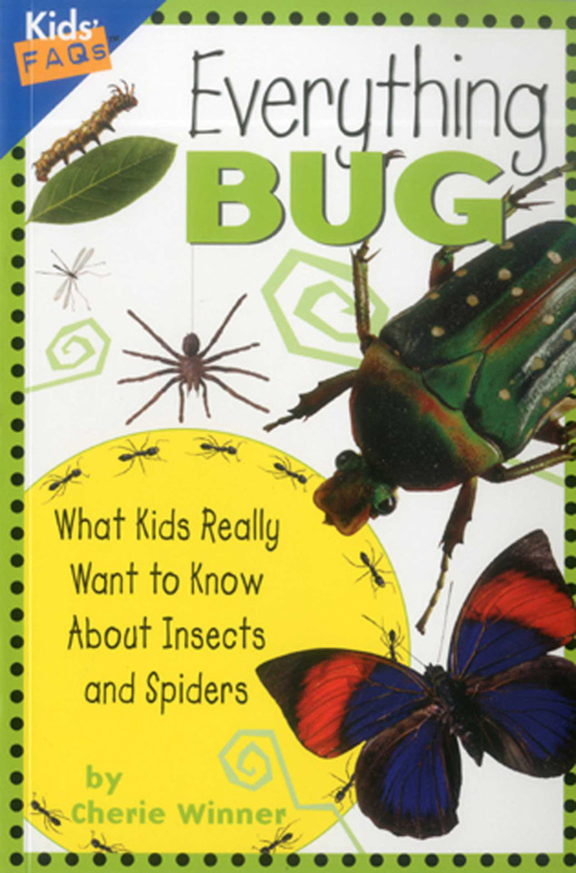 Everything Bug (Kids Faqs) book cover by Cherie Winner