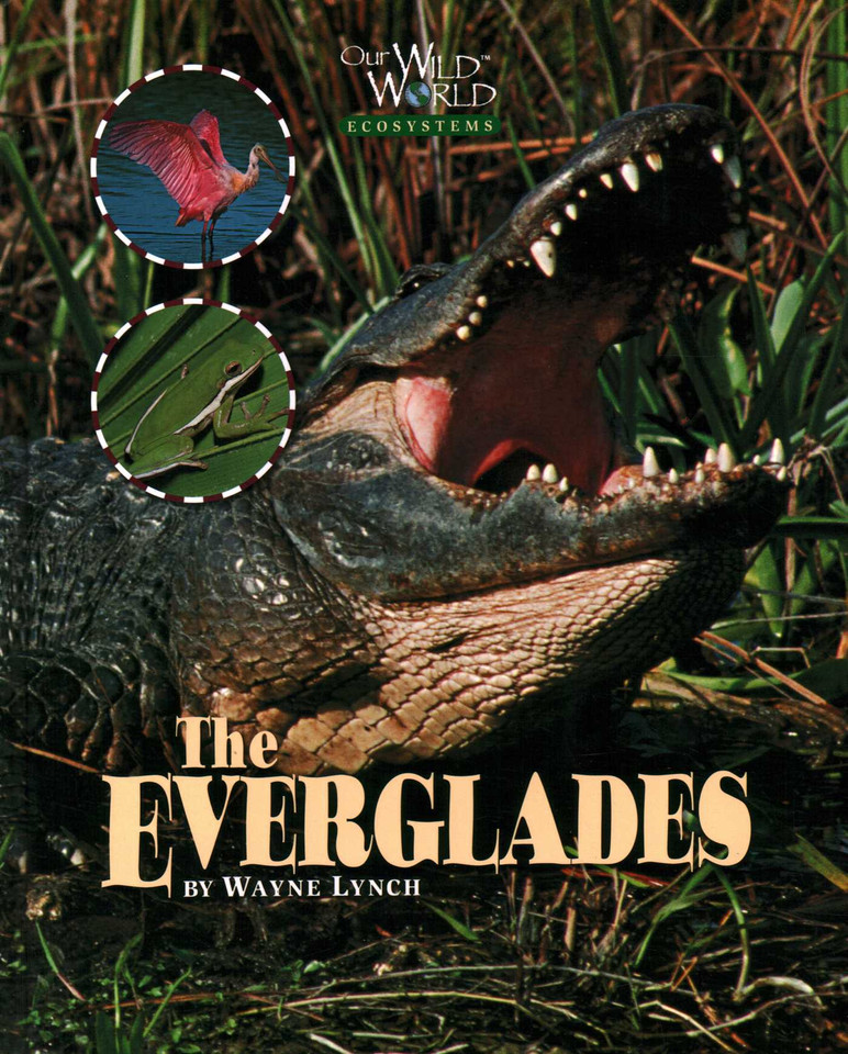 Everglades (Our Wild World) book cover by Wayne Lynch